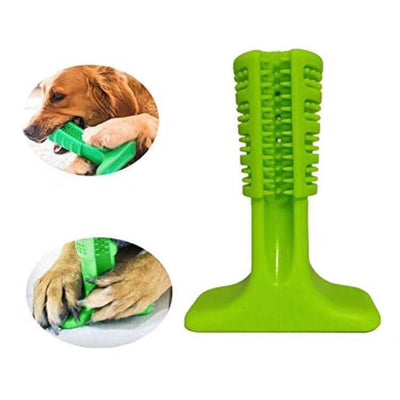 Cepillo dental para perros